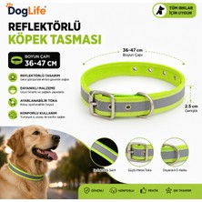 Dog Life Reflektörlü Köpek Boyun Tasması 36-47 cm 2,5 cm Geniş Metal Tokalı - Neon Yeşil
