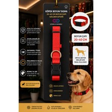 M-Pets Köpek Boyun Tasması 20-40 cm Ayarlanabilir Kilitli Toka D-Halkalı - Kırmızı