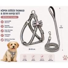 Köpek Göğüs Tasması ve Sevk Kayışı Seti 28-35 cm Papyonlu 1,2 Metre Kayış - Gri
