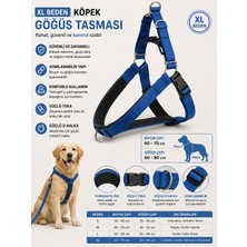 Köpek Göğüs Tasması Xl Beden Boyun 60-70 cm Göğüs 60-80 cm Içi Pedli Ayarlanabilir - Mavi