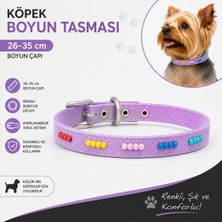 Boncuklu Köpek Boyun Tasması 26-35 cm Küçük Irk Ayarlanabilir Metal Tokalı D Halkalı - Lila