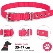 Köpek Boyun Tasması 35-47 cm Dokuma Naylon Metal Tokalı D Halkalı Ayarlanabilir - Kırmızı