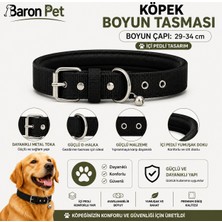Pedli Zilli Köpek Boyun Tasması 29-34 cm 2 cm Içi Pedli Metal Tokalı - Siyah