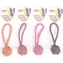 Ally Paws Köpekler Için Diş Ipi 20 cm 10619