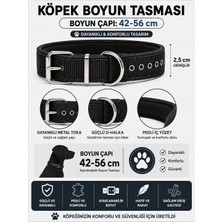 Pedli Köpek Boyun Tasması 42-56 cm 2,5 cm Dokuma Naylon Metal Tokalı - Siyah