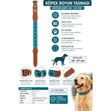 Köpek Boyun Tasması 54-61 cm Pati Desenli Deri Uçlu Metal Tokalı - Turkuaz Kahverengi