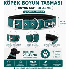 Pedli Köpek Boyun Tasması 28-33 cm 2 cm Karabina Klipsli Metal Tokalı - Petrol Yeşili