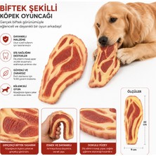 Biftek Şekilli Köpek Çiğneme Oyuncağı Diş Sağlığı Destekleyici 22 cm