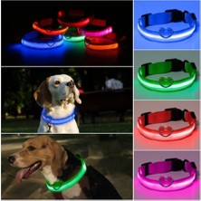 LED Işıklı Köpek Tasması Pilli 3 Modlu Gece Görünürlük - Mavi M Beden