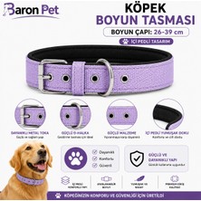 Pedli Köpek Boyun Tasması 26-39 cm 2 cm Içi Pedli Metal Tokalı D Halkalı - Lila
