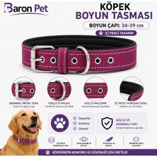 Pedli Köpek Boyun Tasması 34-39 cm 2 cm Içi Pedli Metal Tokalı D Halkalı - Mürdüm