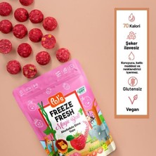 Pol's Pol S Freeze Fresh Magic Ball Ahududulu Elma Topu 20 gr