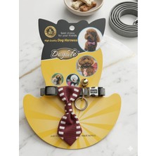 Küçük Irk Fularlı Köpek Tasması