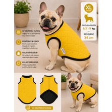 Köpek Montu Xl Beden Boyun Çapı 34 cm Su Geçirmez Kapitone Cırt Cırtlı - Sarı