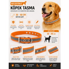 Reflektörlü Köpek Boyun Tasması 36-48 cm Ayarlanabilir Metal Tokalı Gece Görünürlük - Turuncu