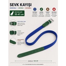 Köpek Boyun Tasması 33-41 cm Dokuma Kumaş Deri Detaylı Ayarlanabilir Metal Tokalı - Mavi Yeşil