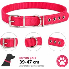 Köpek Boyun Tasması 39-47 cm Dokuma Naylon Metal Tokalı D Halkalı Ayarlanabilir - Kırmızı