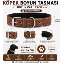 Pedli Köpek Boyun Tasması 29-34 cm 2 cm Içi Pedli Metal Tokalı D Halkalı - Kahverengi