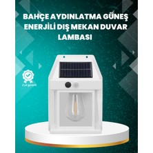 Palera Store Çok Modlu Güneş Enerjili Bahçe ve Balkon Lambası - Lisinya