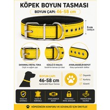 Pedli Köpek Boyun Tasması 46-58 cm Kalın Metal Tokalı D Halkalı - Sarı Siyah