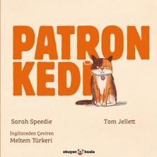 Okuyan Koala Patron Kedi