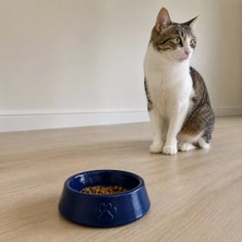 Sh Ticaret Pati Desen Model Beton Mama Su Kabı 13 cm Çap x 4 cm - Lacivert