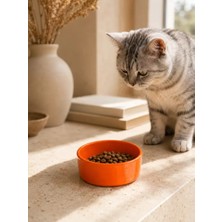 Sh Ticaret Kase Model Beton Mama Su Kabı (15CM Çap × 5cm) - Turuncu