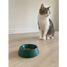 Sh Ticaret Pati Desen Model Beton Mama Su Kabı 13 cm Çap x 4 cm - Yeşil