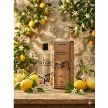 Tarihi Boyabat Kolonyası Limon Kolonyası