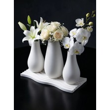 Canseb Elegance 4'lü Şık Dekoratif Vazo Set (Vazolar 13CMX15CMX13CM) - (Tepsi 24CM)