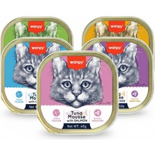 Baron Pet Wanpy Kedi Konserve Alatura Mama 5 Çeşit