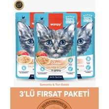 Baron Pet Wanpy Somon Ton Kedi Pouch 85 gr x 3