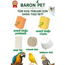 Baron Pet Gaga Taşı Seti