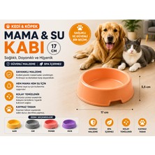 Baron Pet Kedi Köpek Mama ve Su Kabı 17 cm Kaymaz Tabanlı Bpa Içermez - Turuncu