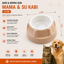 Baron Pet Kedi Köpek Mama ve Su Kabı 12 cm Çap 5 cm Derinlik Kaymaz Tabanlı - Bej