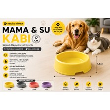 Baron Pet Kedi Köpek Mama ve Su Kabı 17 cm Kaymaz Tabanlı Bpa Içermez - Sarı