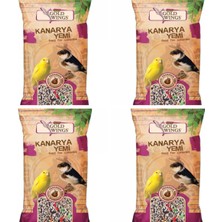 Baron Pet Gold Wings Meyveli Kanarya Yemi 300 gr x 4 Paket