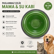 Baron Pet Paslanmaz Çelik Kedi Köpek Mama ve Su Kabı 16 cm Kaymaz Tabanlı - Yeşil
