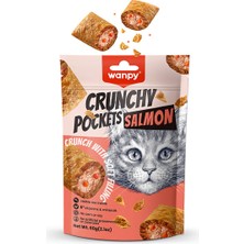 Baron Pet Wanpy Kedi Ödül Crunchy Somon Havyar x 4