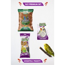 Baron Pet Jungle Kuş 3 Lü Set