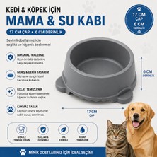 Baron Pet Kedi Köpek Mama ve Su Kabı 17 cm Çap 6 cm Derinlik Kaymaz Tabanlı - Gri