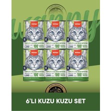 Baron Pet Wanpy Kedi Konserve Mama 375 gr Kuzulu x 6