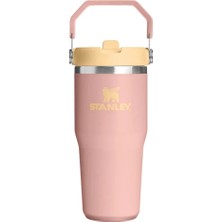 Stanley The Iceflow Flip Straw 2.0 Tumbler 0.41L (5 Adet)
