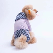 Pawstar 26723 Lila Sera Stripe Hoodie