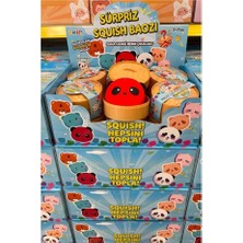 Rastplay Sürpriz Squish Boazı Hayvanlar (Çin Mantısı) PL59515