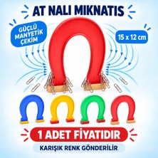 At Nalı Mıknatıs 15 cm Eğitici Fen Deneyleri Için Manyetik Okul Materyali