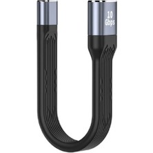 Silabor Type-C Dişi To USB Dişi 10 Gbps Kablo 100W Pd Hızlı Data Kablosu C-22 10 cm