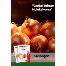 Patika Botanik 400 Adet Ata Tohumu Sarı Soğan
