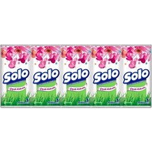 4 Adet Solo Mendil 10'lu Çiçek Kokulu