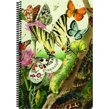 4 Adet Art Style Defter A4 80 Yaprak Çizgili Pp Kapak Spiralli